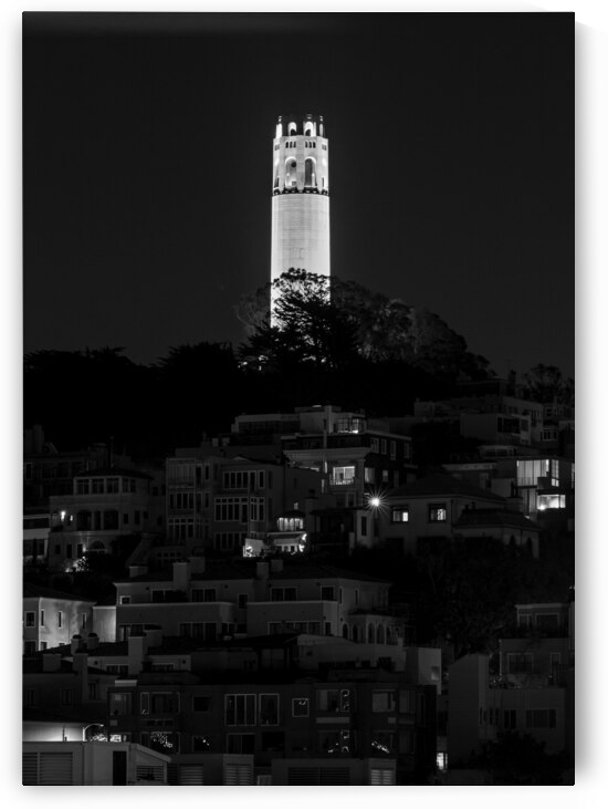 coit tower from russian hill  vertical 494 Coit 1 by Black And White