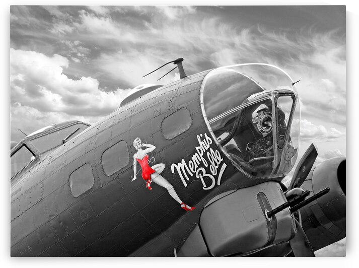 Memphis Belle by Gill Billington