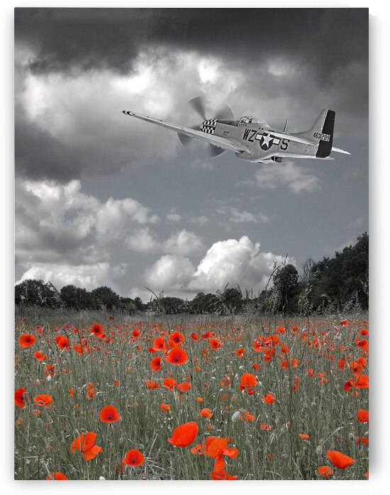 Salute To The Brave - p51 Flying Over Poppy Field by Gill Billington
