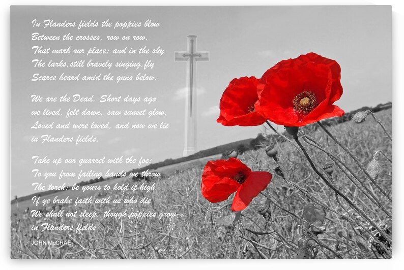 In Flanders Fields by Gill Billington