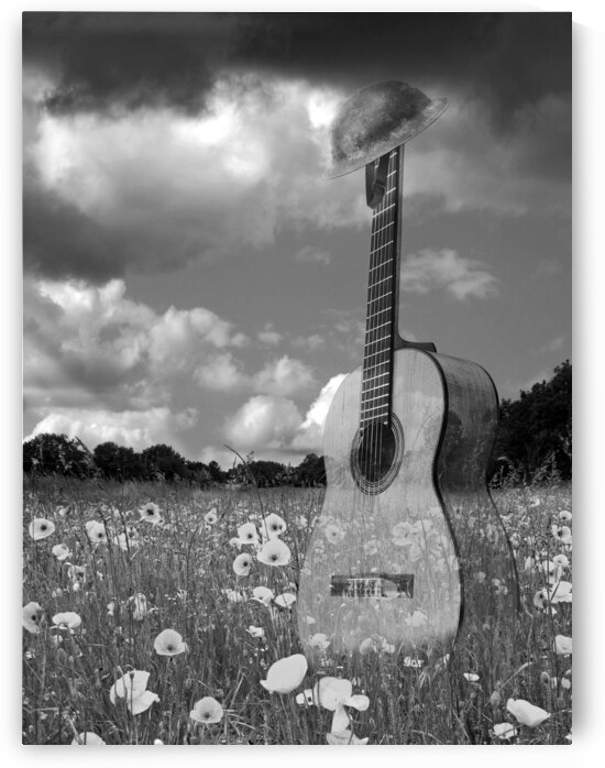Battlefield Blues in Black and White - Guitar in Poppy Field by Gill Billington