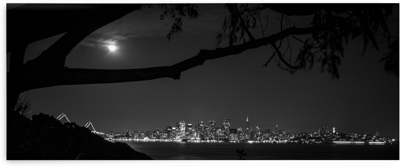 san francisco skyline from yerba buena island  pa by Black And White