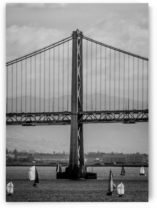 sf bay bridge sail boats  vertical 3018 Sails 13k by Black And White