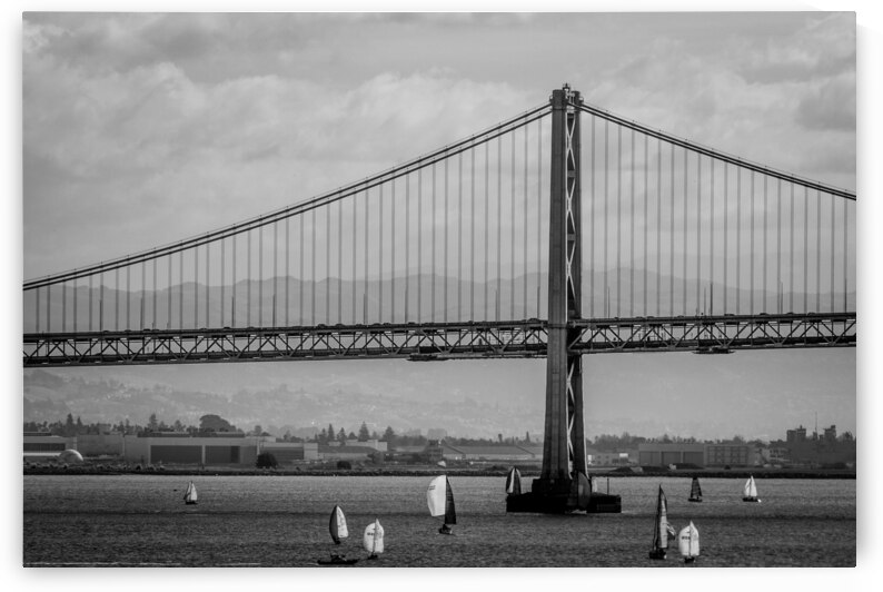 sf bay bridge sail boats  horizontal 3018 Sails 1 by Black And White