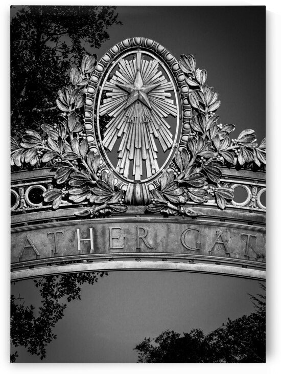 sather gate uc berkeley campus oakland  vertical by Black And White