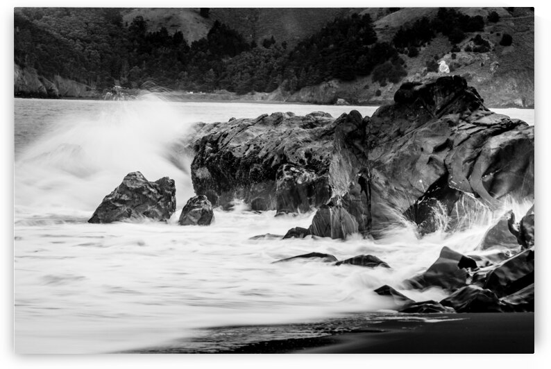 single sea gull on rocks pacific ocean  horizonta by Black And White