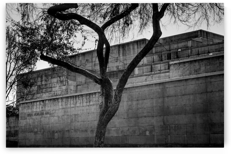 woo hon fai hall uc berkeley campus  horizontal 3 by Black And White