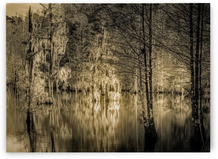Glow of Winter Sunset Reflections by Norma Brandsberg Photography