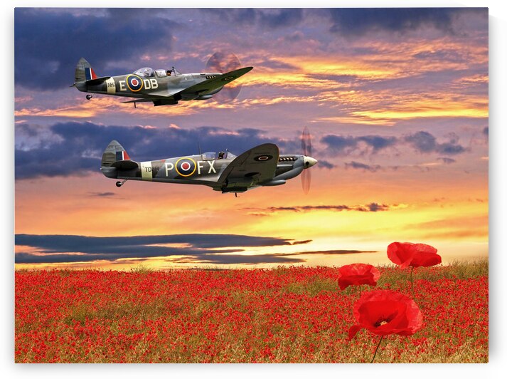 We Will Remember Them - Spitfires Over Poppy Field by Gill Billington
