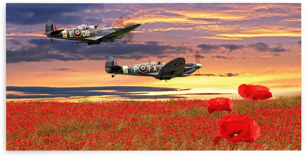 We Will Remember Them - Spitfires Over Poppy Field Pano by Gill Billington