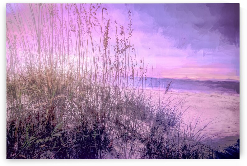 Winter at the Beach by Norma Brandsberg Photography