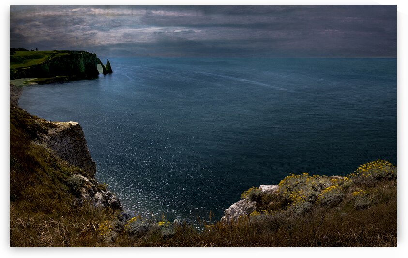 Etretat Cliffside Wildflowers by Norma Brandsberg Photography