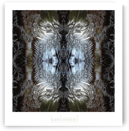 ANIMAL by Francis Pelletier