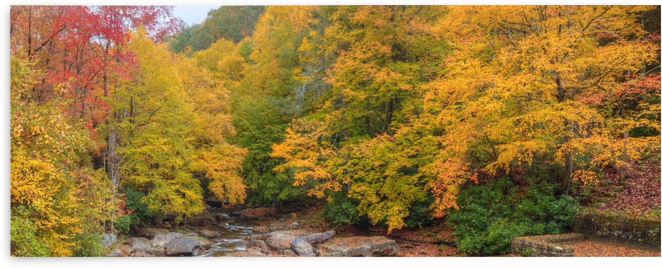 Autumn In West Virginia by Bill Sherrell