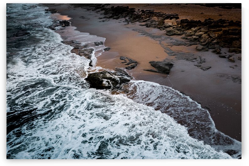 Natures Lace by Norma Brandsberg Photography