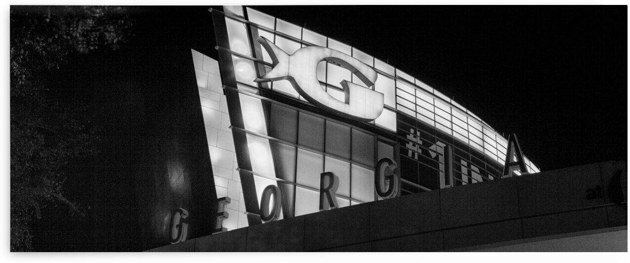 georgia aquarium  panoramic 3121 Georgia 13k by Black And White