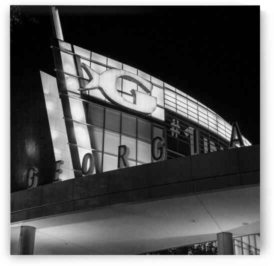 georgia aquarium  square 3121 Georgia 13k by Black And White