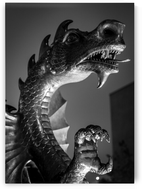 drexel dragon  vertical 984 Dragon 13k by Black And White