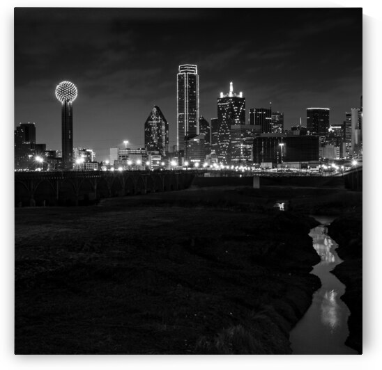 dallas tx skyline trinity river floodplain  squar by Black And White