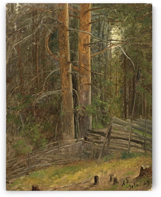 Trees in a forest by Adolph Tidemand