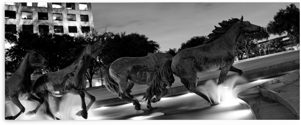 mustangs of las colinas at night  panoramic 770 C by Black And White