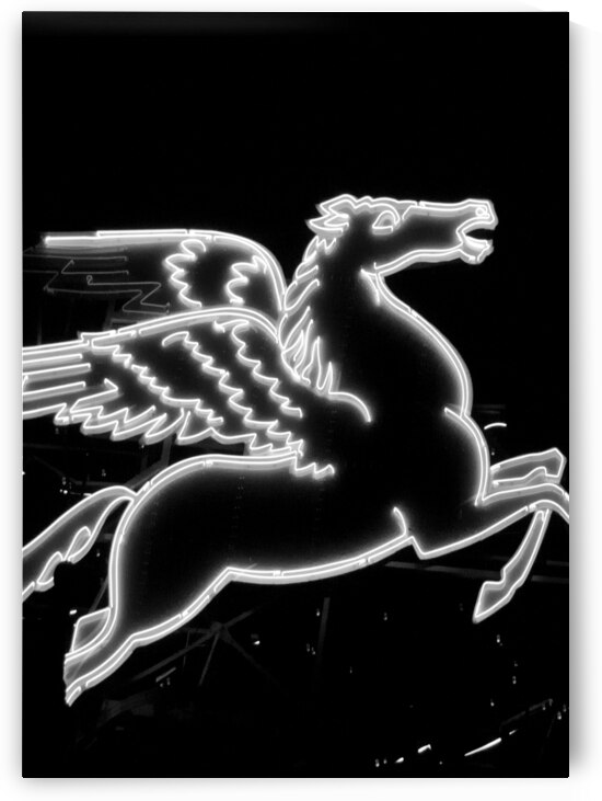 pegasus sign  vertical 787 Pegasus 13k by Black And White