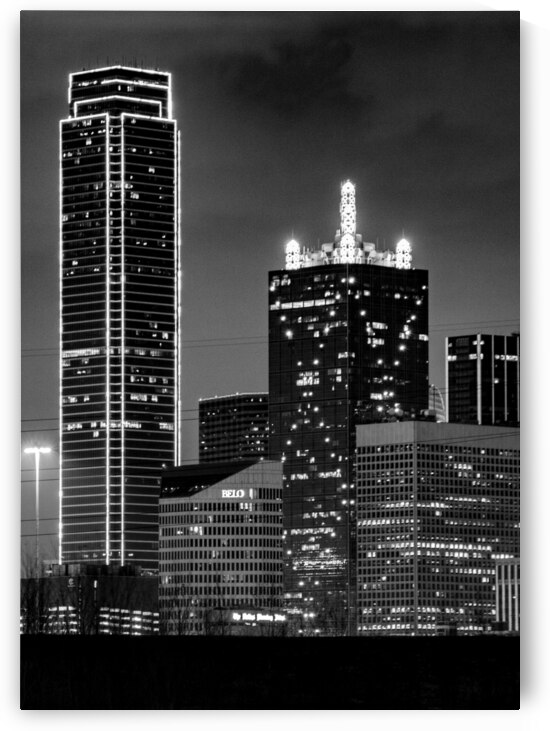 downtown dallas texas skyline at night  vertical by Black And White