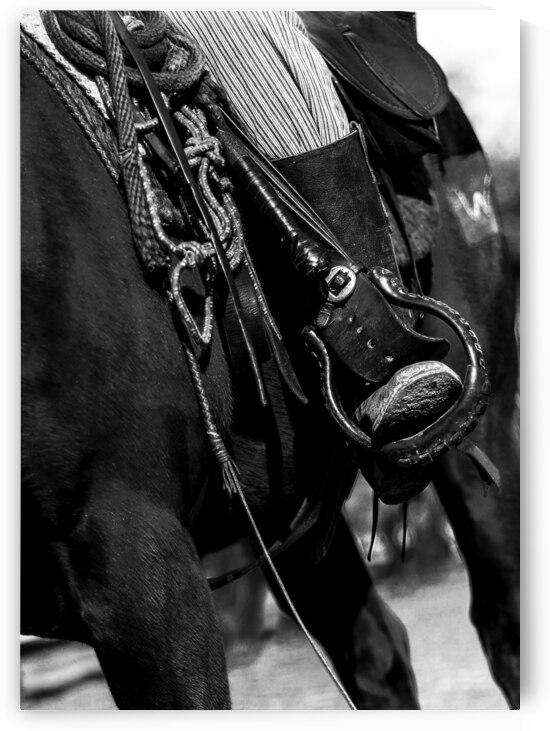 cowboy horse tackle  vertical 821 Tack 13k by Black And White