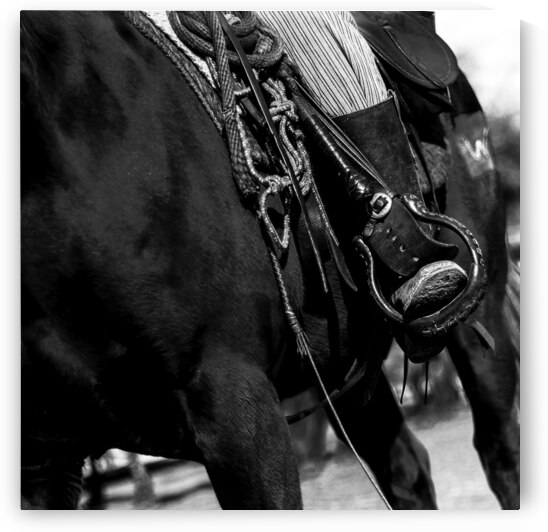 cowboy horse tackle  square 821 Tack 13k by Black And White