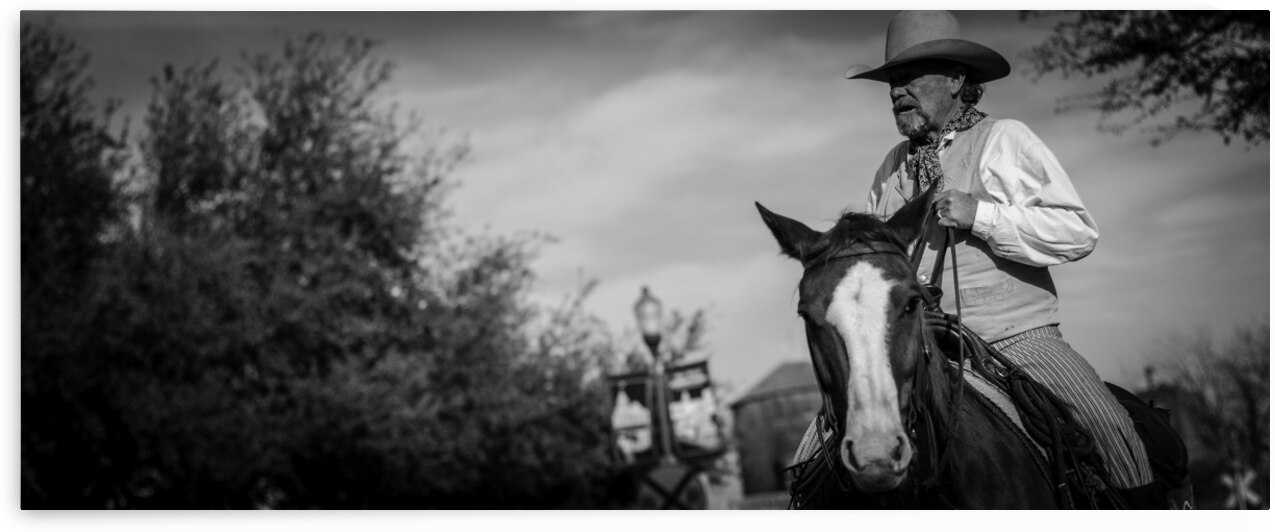 a fort worth tx cowboy  panoramic 805 Flank 13k.j by Black And White