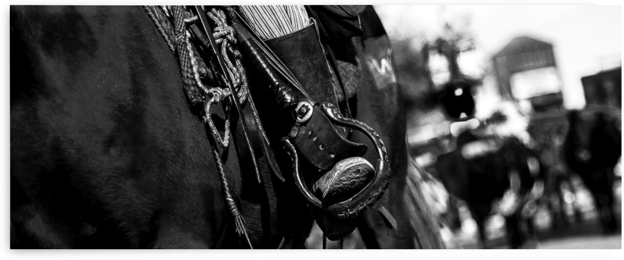 cowboy horse tackle  panoramic 821 Tack 13k by Black And White