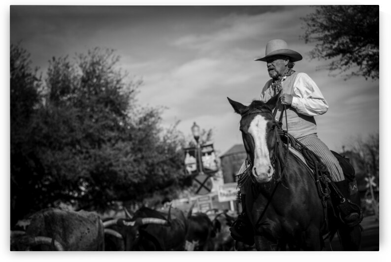a fort worth tx cowboy  horizontal 805 Flank 13k. by Black And White