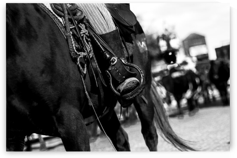 cowboy horse tackle  horizontal 821 Tack 13k by Black And White