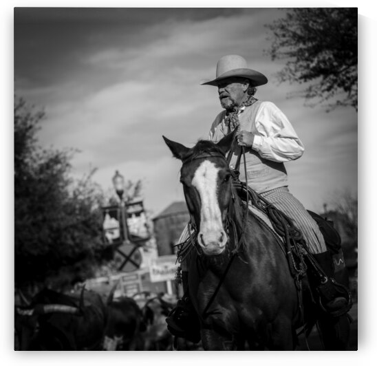 a fort worth tx cowboy  square 805 Flank 13k by Black And White