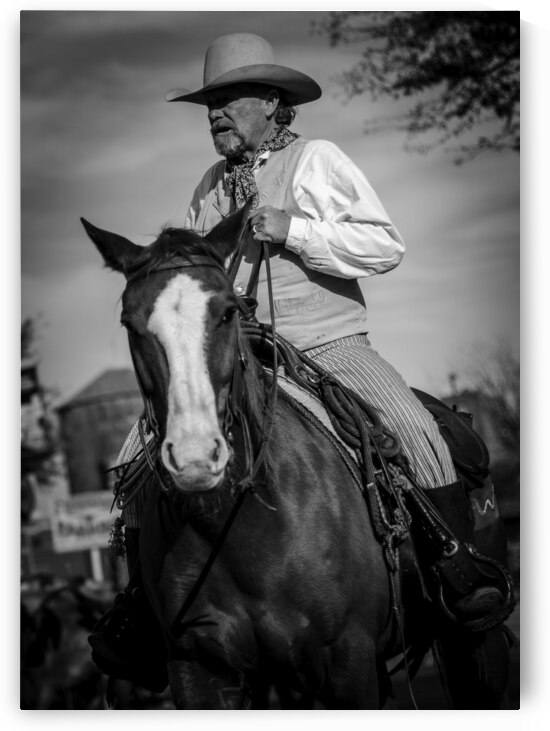 a fort worth tx cowboy  vertical 805 Flank 13k.jp by Black And White
