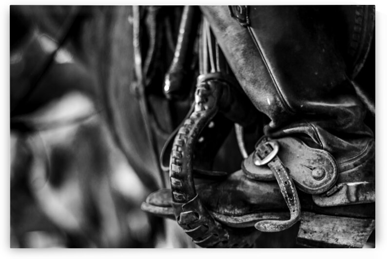 texas cowboy boot in stirrup  horizontal 818 Stir by Black And White