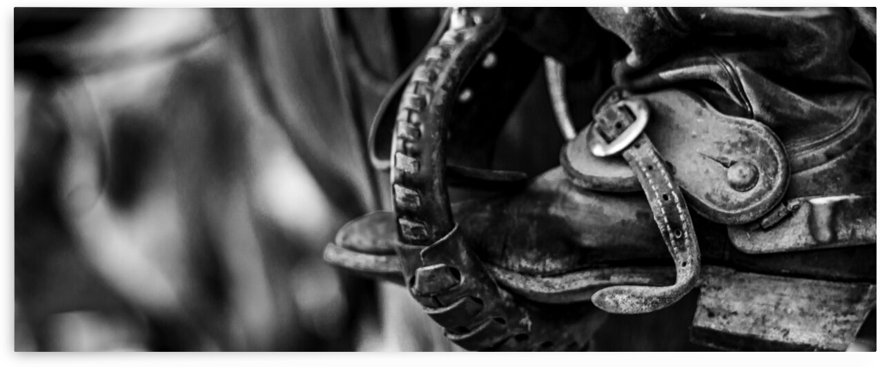 texas cowboy boot in stirrup  panoramic 818 Stirr by Black And White