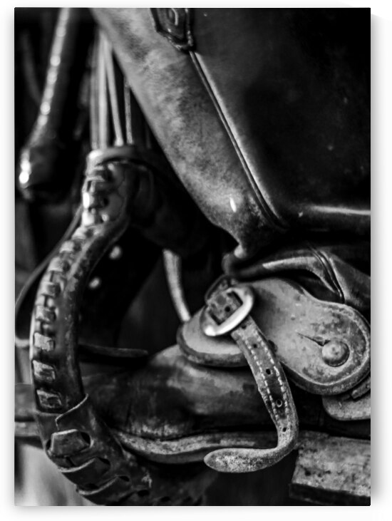 texas cowboy boot in stirrup  vertical 818 Stirru by Black And White