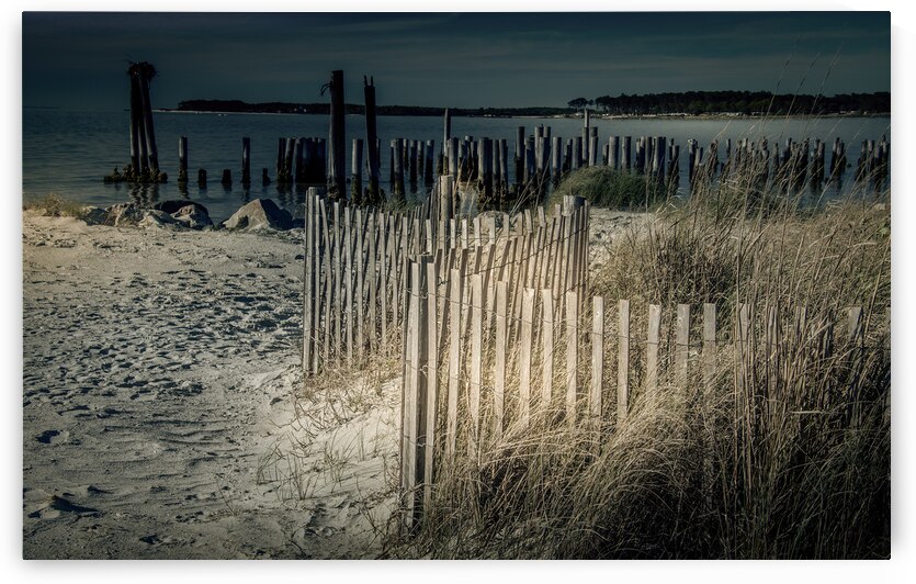 Virginia Eastern Shoreline Fence by Norma Brandsberg Photography