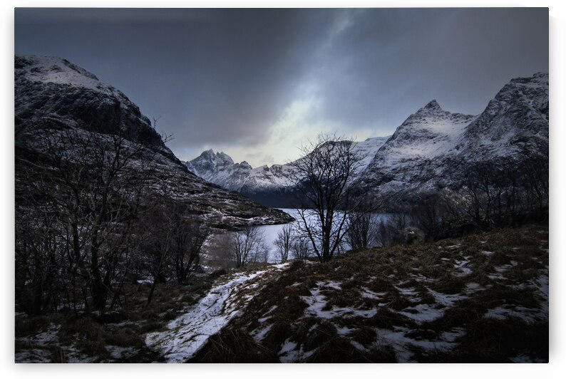 Lofoten Islands Fjord in Winter by Norma Brandsberg Photography