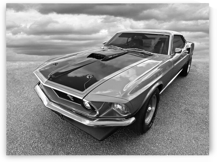 428 Cobra Jet Mach1 Ford Mustang 1969 in Black and White by Gill Billington