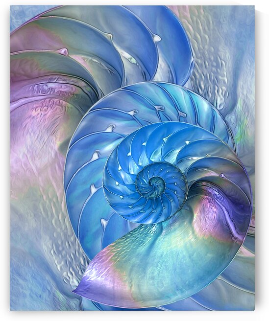 Nautilus Shells Blue and Purple by Gill Billington