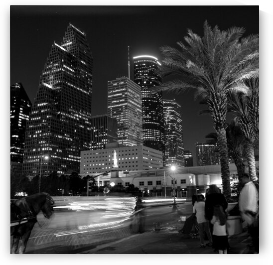 horse carriage downtown houston skyline  square 9 by Black And White