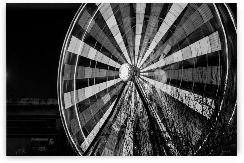 houston aquarium ferris wheel  horizontal 926 Fwe by Black And White