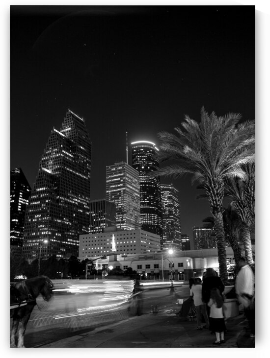 horse carriage downtown houston skyline  vertical by Black And White
