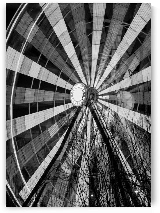 houston aquarium ferris wheel  vertical 926 Fweel by Black And White