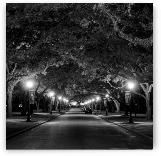 rice university at night  square 938 Rice 13k by Black And White