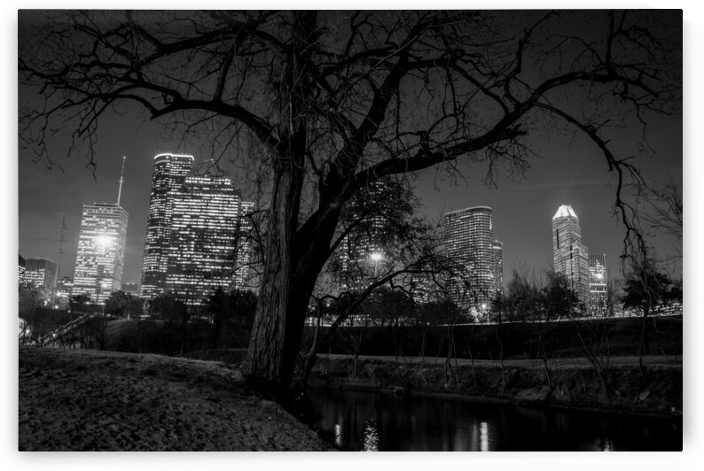 houston skyline in buffalo bayou  horizontal 934 by Black And White
