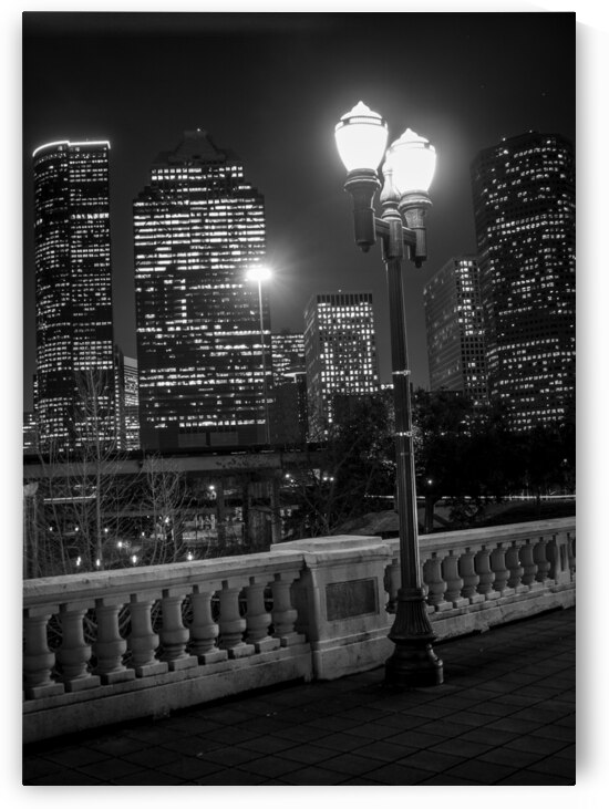 houston city scape at night  vertical 3276 Lamp 1 by Black And White