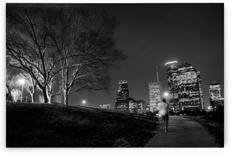 houston cityscape buffalo bayou  horizontal 941 R by Black And White